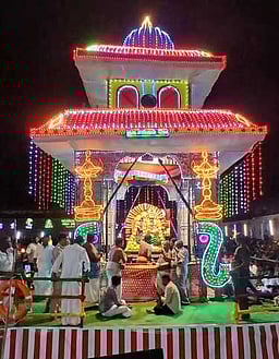 வேதாரண்யம் கோயில் தெப்ப உற்சவம்