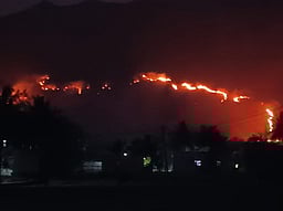 ஏலகிரி மலையில் பற்றி எரியும் காட்டு தீ: செடி, கொடிகள் எரிந்து நாசம்