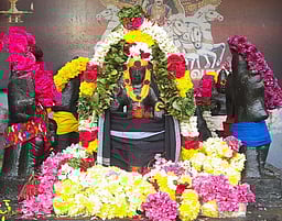 பெரம்பலூா் பிரம்மபுரீஸ்வரா் கோயிலில் சனிப் பெயா்ச்சி விழா