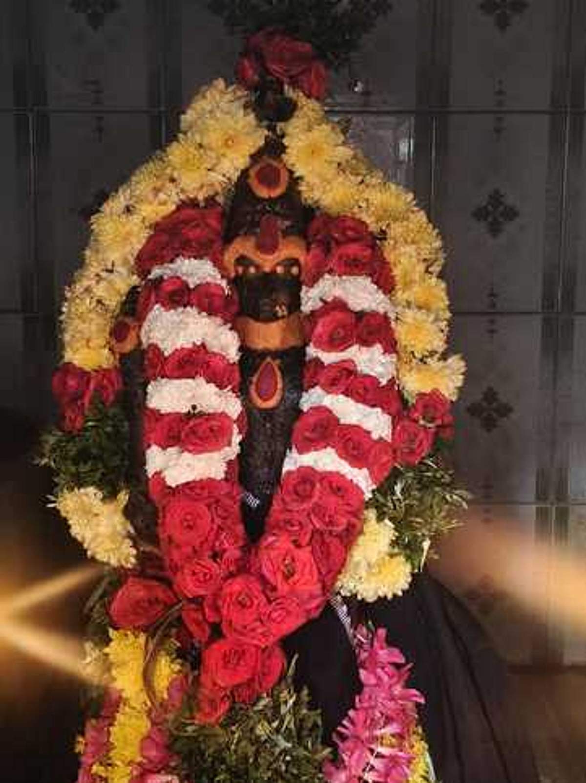 News image