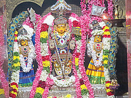 மணப்பேறு, மகப்பேறு அருளும் மயில்வாகனன்!