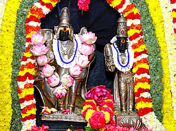 சனிப்பெயா்ச்சி: சங்ககிரி சிவன் கோயிலில் சிறப்பு பூஜை