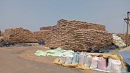 கொள்முதல் நிலையங்களில் நெல் மூட்டைகள் தேக்கம்: விவசாயிகள் கவலை