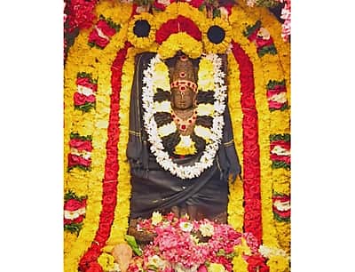 ஆலங்குடி குருபகவான் கோயிலில் சனிப்பெயர்ச்சி விழா!