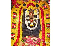 ஆலங்குடி குருபகவான் கோயிலில் சனிப்பெயர்ச்சி விழா!