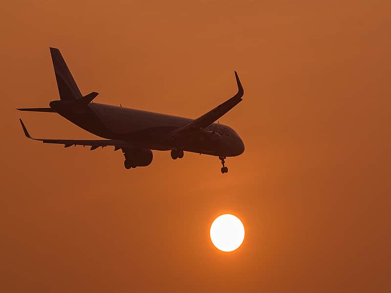 flight