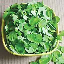 முருங்கைக் கீரையின் மகிமை...