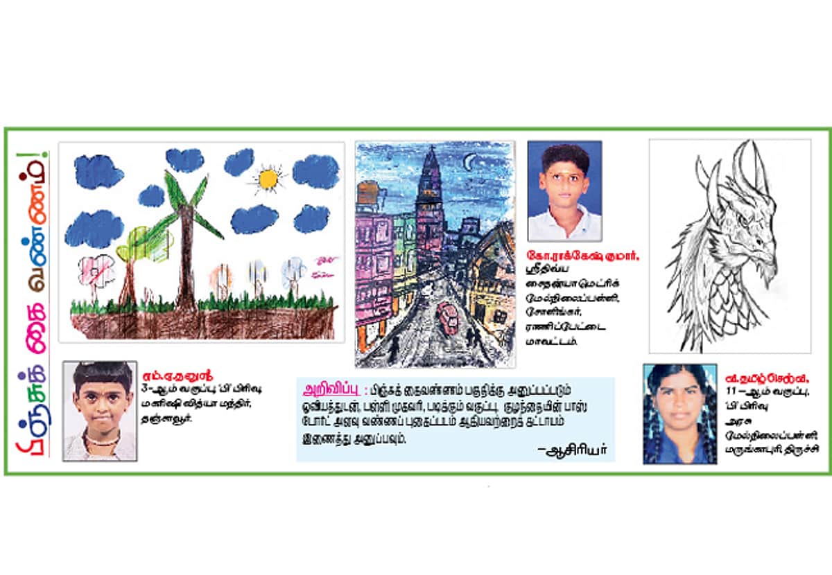 News image