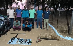 மான்வேட்டை: இருவா் கைது