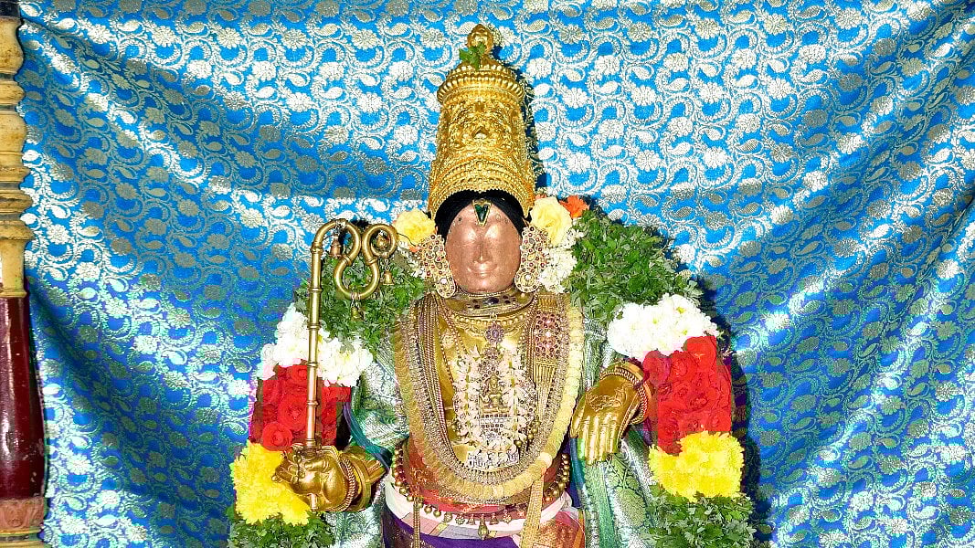 பங்குனித்திருவிழா கொடியேற்றத்தையொட்டி சிறப்பு அலங்காரத்தில்  அருள்பாலிக்கும் உற்சவர் ராஜகோபாலசுவாமி 