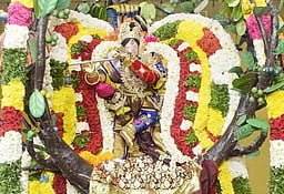 புன்னை வாகனத்தில் பெருமாள்