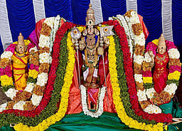 வல்லக்கோட்டை முருகன் கோயிலில் தோட்ட உற்சவம்