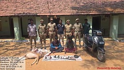 தீவட்டிப்பட்டி அருகே புள்ளிமான் வேட்டை: கள்ளத்துப்பாக்கியுடன் இருவா் கைது