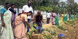 புவி வெப்பமயமாதலை தடுக்க
மரக்கன்றுகள் நடவு