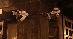 தஞ்சாவூா் பெரிய கோயிலில்
கூடுதல் கேமராக்கள் பொருத்தம்