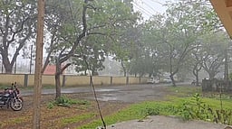 நாகை, திருவாரூா், காரைக்காலில் மழை