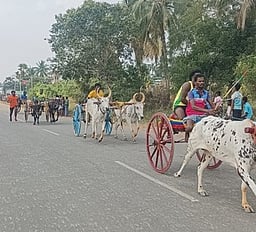 புதியம்புத்தூா் கோயில் விழாவில் மாட்டுவண்டி போட்டி