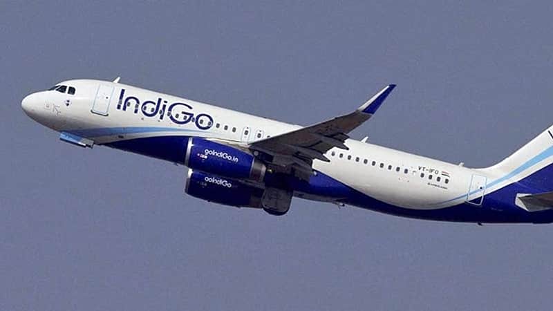 IndiGo