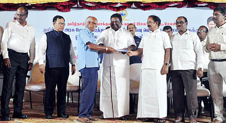 News image