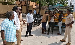 நகராட்சியில் சுற்றித் திரிந்த 20 பன்றிகள் பிடிப்பு