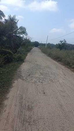 பாவூா்சத்திரம் அருகே சாலையை சீரமைக்கக் கோரிக்கை