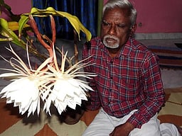 ஏற்காட்டில் கள்ளிச் செடியில் பூத்த பிரம்மக்கமலம்!