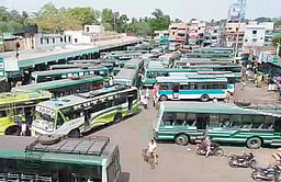 எரிபொருள் தட்டுப்பாடு: அரசுப் பேருந்து சேவையில் பாதிப்பு இல்லை - போக்குவரத்துத் துறை தகவல்