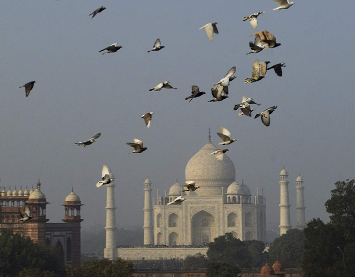 News image