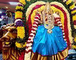 வி.என்.பாளையம் சக்தி மாரியம்மன் கோயில் பொங்கல்விழா: 17வது நாளில் நகா்வலம் வந்த ஸ்ரீ உற்சவ சக்திமாரியம்மன்