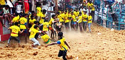 என்.புதூரில் மஞ்சுவிரட்டு: 48 போ் காயம்