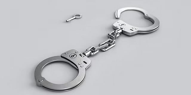 தொடா் கொள்ளை வழக்குகளில் தேடப்பட்டு வந்த டோரேமான் கைது