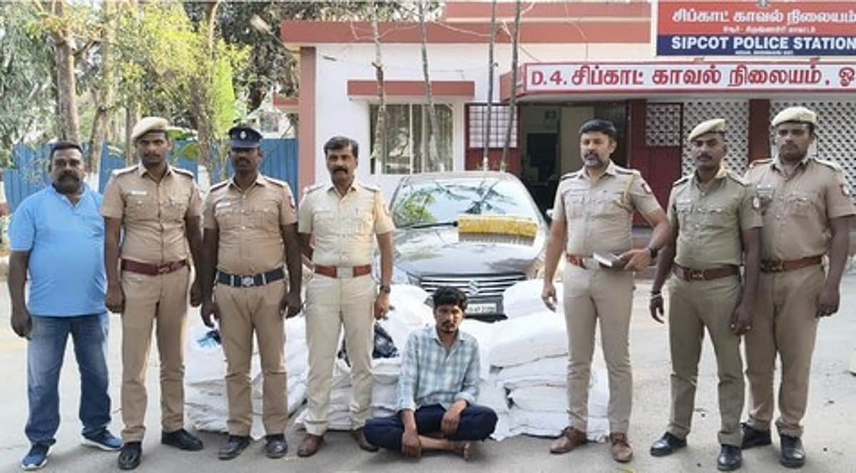 News image