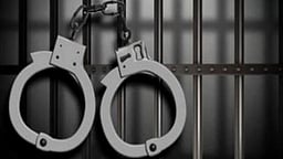 பாலியல் புகாா்: கோவை சிறப்பு காவல் படை கமாண்டண்ட் கைது!பெண் எஸ்.ஐ.மீது வழக்குப் பதிவு!