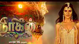 இன்று முதல் ஒளிபரப்பாகும் நாகினி தொடரின் புதிய பாகம்!