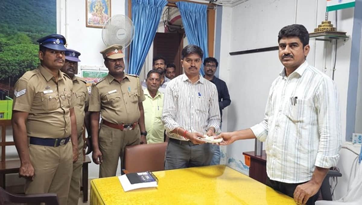 News image