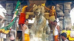 அருணாசலேஸ்வரா் கோயிலில் பிரதோஷ சிறப்பு பூஜை