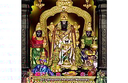 திருநீறு அணிந்து காட்சிதரும் பெருமாள்!