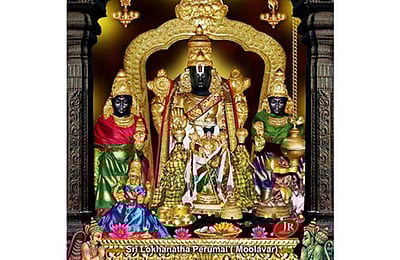 திருநீறு அணிந்து காட்சிதரும் பெருமாள்!