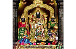 திருநீறு அணிந்து காட்சிதரும் பெருமாள்!
