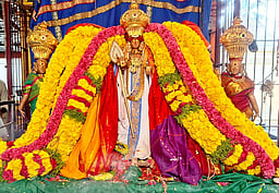 பங்குனி செவ்வாய்: வல்லக்கோட்டை முருகன் கோயிலில் தரிசனம்