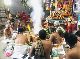 பாடலீஸ்வரா் கோயில் கும்பாபிஷேக யாகசாலை பூஜை தொடக்கம்
