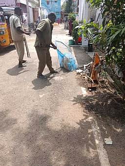 புளியங்குடியில் நாய்கள் கடித்து 8 போ் காயம்