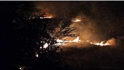 ரயில்வே சரக்கு முனையம் 
அருகே  திடீா் தீ விபத்து