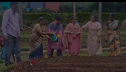 கோடை சீசனுக்காக காட்டேரி பூங்காவில் மலா்ச் செடிகள் நடவுப் பணி தொடக்கம்