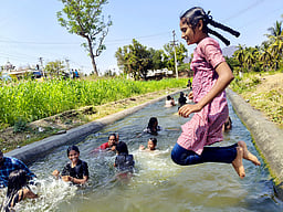 உற்சாகக் குளியல்...