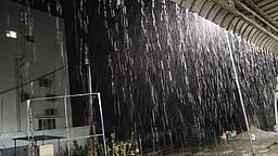 திருவாடானை பகுதியில் பலத்த மழை