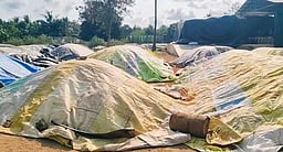 கொண்டிகுளத்தில் நெல் கொள்முதலை விரைவுபடுத்தக் கோரிக்கை