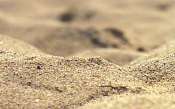 இது தெரியுமா? மழை பெய்யும்போது மண்வாசனை வருவது எதனால்?