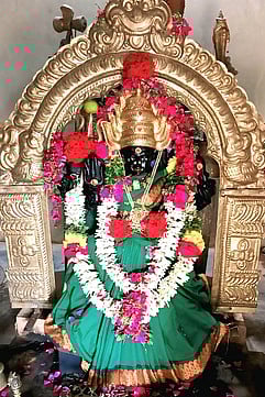 உப்புப்பாளையம் கோயிலில் பங்குனி அமாவாசை வழிபாடு