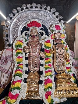 திருவாரூா் கோயிலில் பட்டோற்சவம்